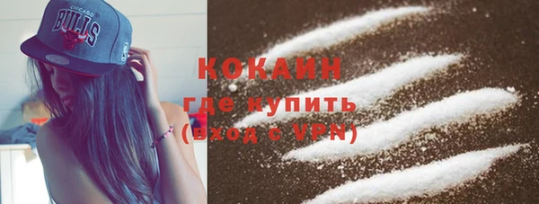 дурь Инта