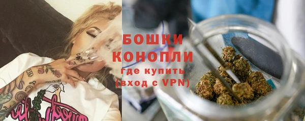 не бодяженный Иннополис