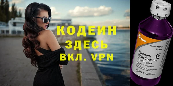 не бодяженный Иннополис