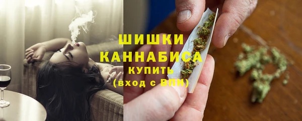 не бодяженный Иннополис