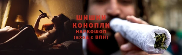 дурь Инта