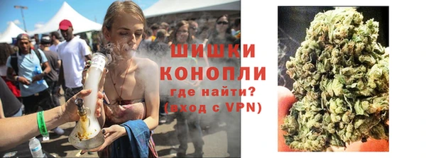 дурь Инта