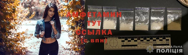 не бодяженный Иннополис