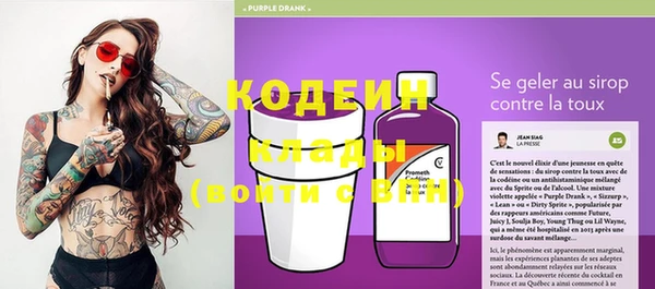 дурь Инта